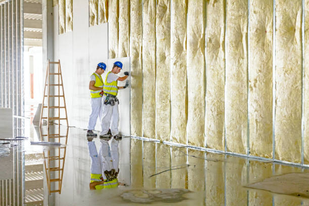 Types of Insulation We Offer in Commerce, GA